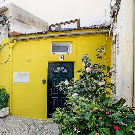 Tiny Little In The Centre 아파트